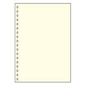 10 feuilles neutres blanches A4 LINDNER  804o