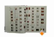 Catalogue de cotation vol 1  Timbres d'Afrique 2026 Yvert & Tellier 138974