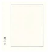 10 feuilles neutres blanches avec quadrillage LINDNER  802 a