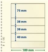 10 feuilles neutres LINDNER T 802403P