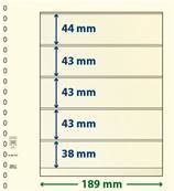 10 feuilles neutres LINDNER T 802512P