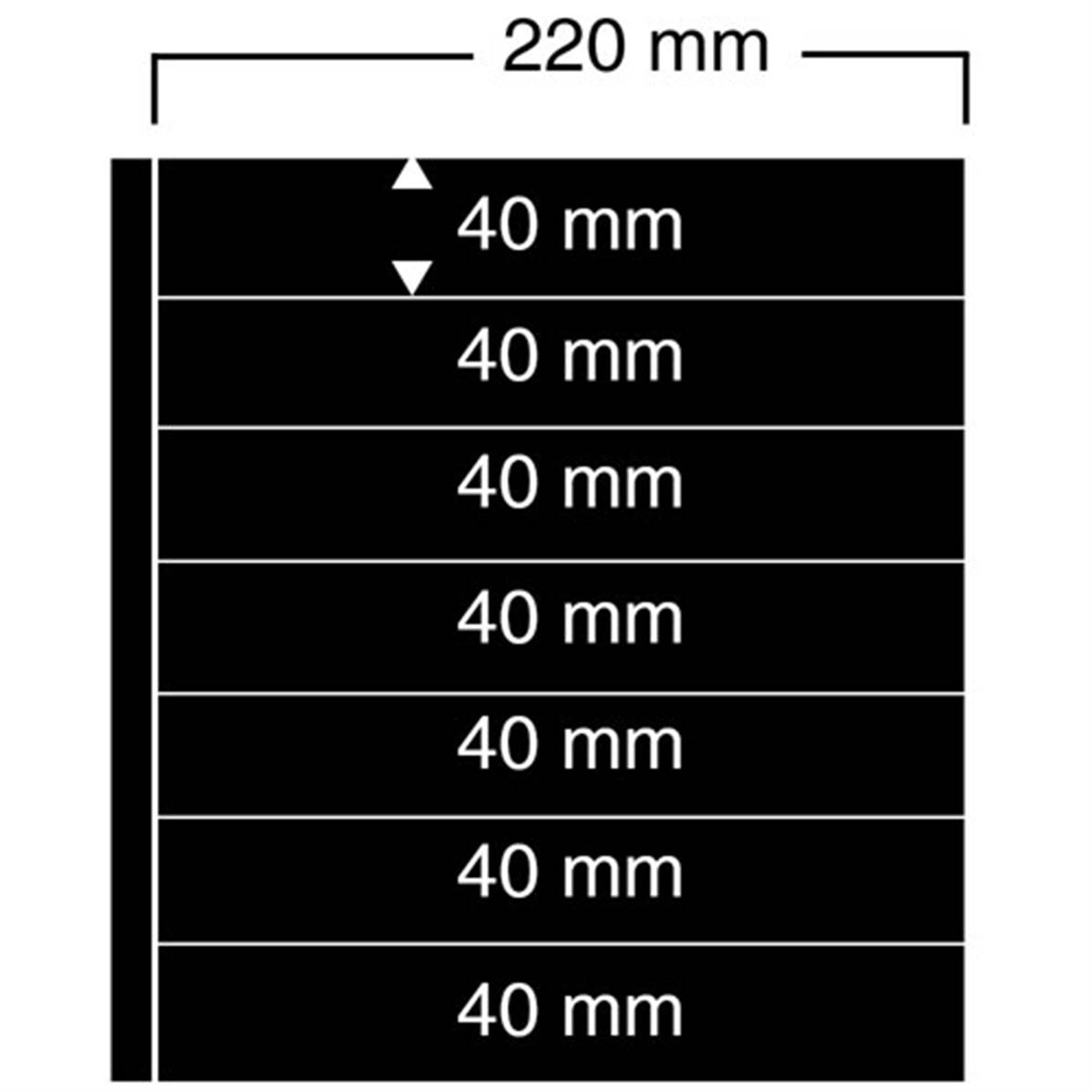 Classeur pour feuilles entières + 10 pages pour 20 feuilles entières - SAFE