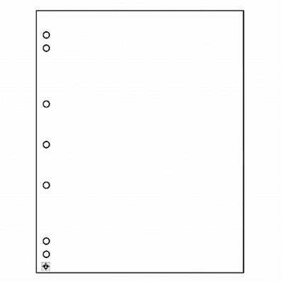 10 intercalaires blancs Numis Leuchtturm NHZWL 336293
